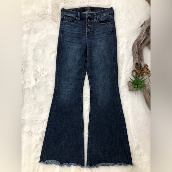 Liverpool Los Angeles The Flare Wide Leg Button Fly Jeans Raw Hem Size 4/27 - Picture 1 of 9